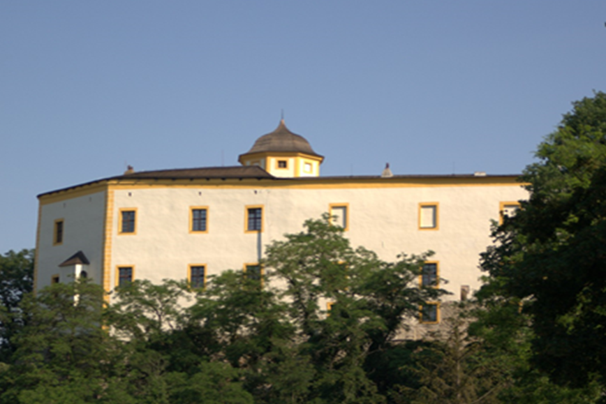 hrad Malenovice
